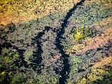 Africa 013 : Aerial View, Africa, Botswana, Delta, Landscape, Mombo, Okavango, Travel